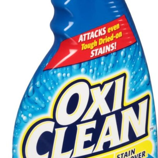 21.5 oz. Fabric Stain Remover