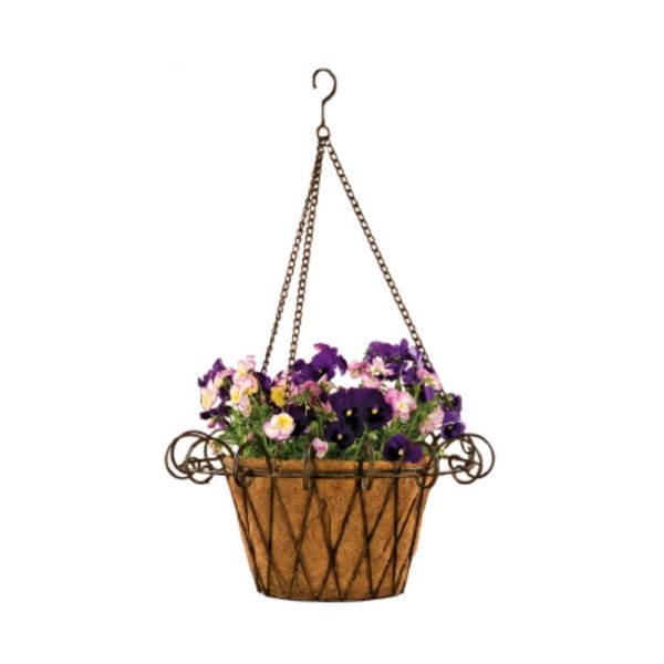 Metal Flower Basket with Coco Liner