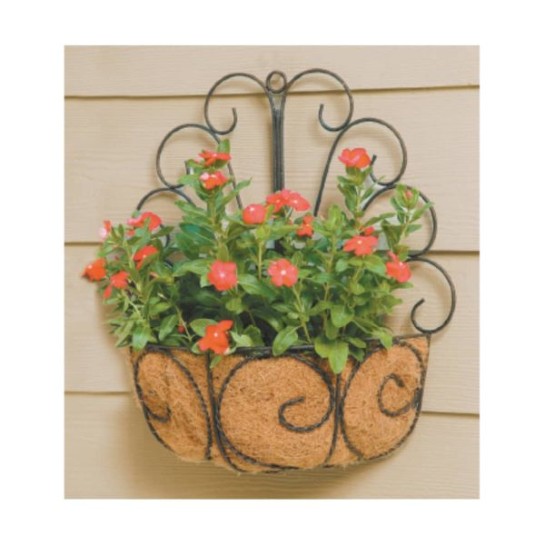 Metal Peacock Wall Basket with Coco Liner