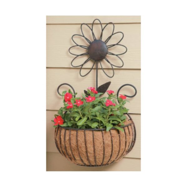 Metal Daisy Wall Basket with Coco Liner