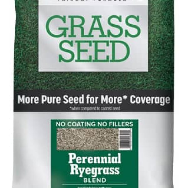 Fairway Formula Grass Seed Perennial Ryegrass Blend (20 lb.)
