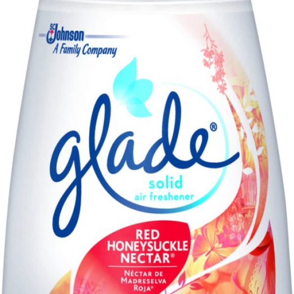 Solid Air Freshener