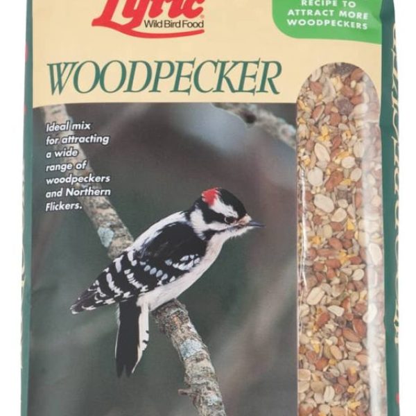 Woodpecker Wild Bird Food