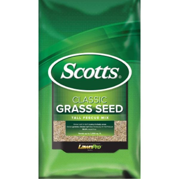 Classic Tall Fescue Grass Seed