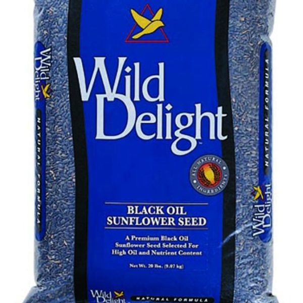 Sunflower Bird Food